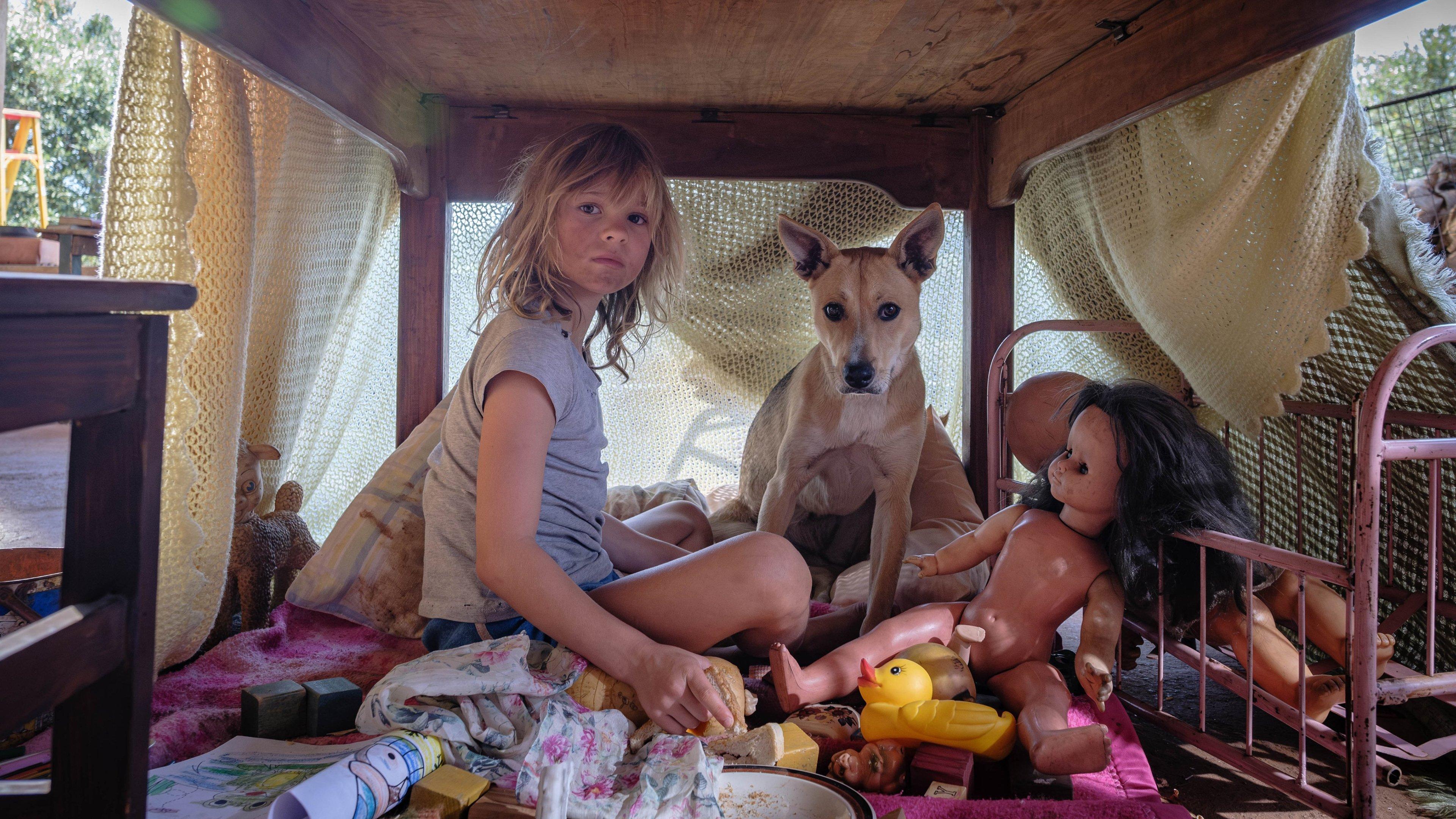 Don’t Let’s Go to the Dogs Tonight Preview