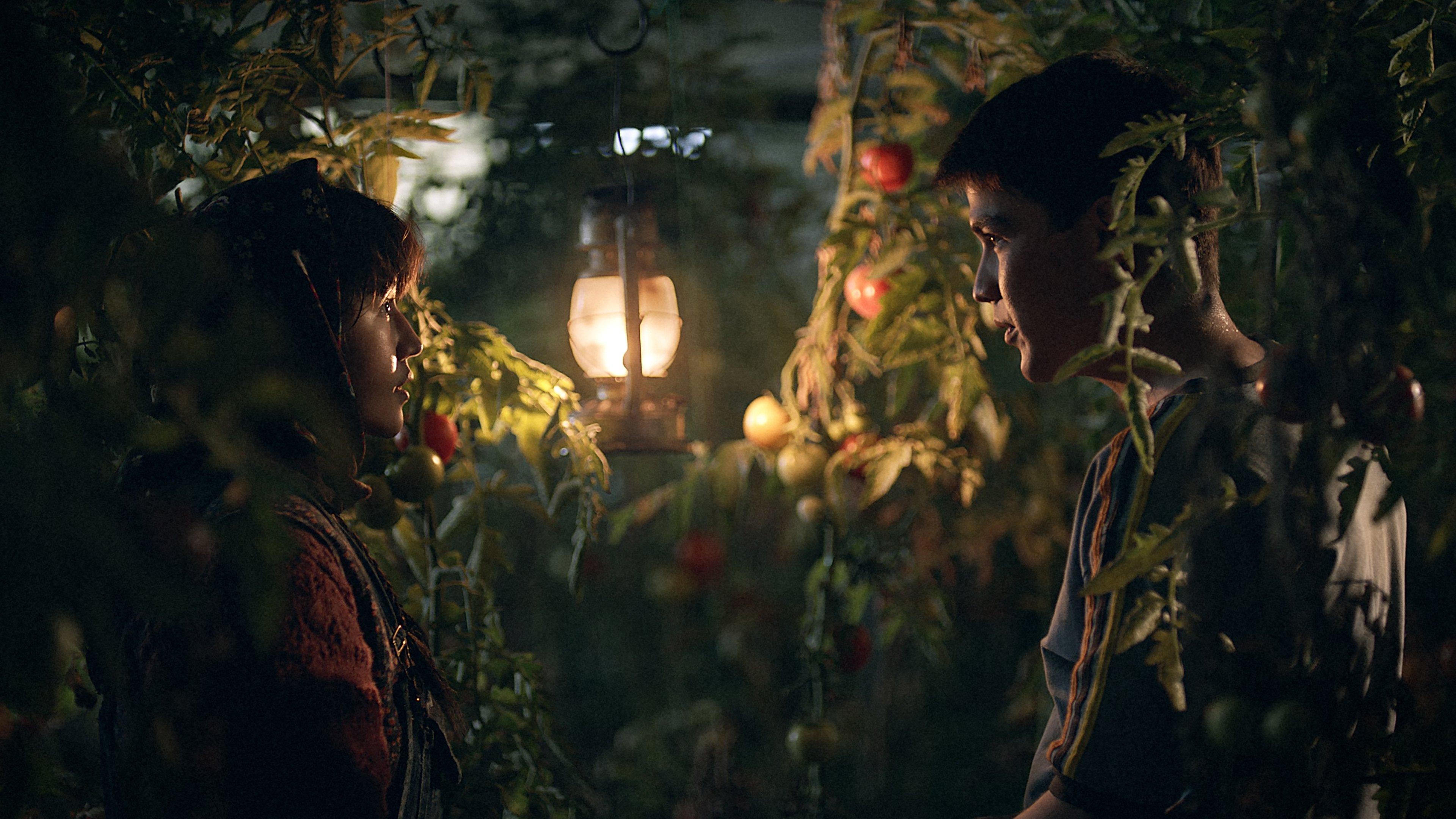 In the Land of Brothers Preview