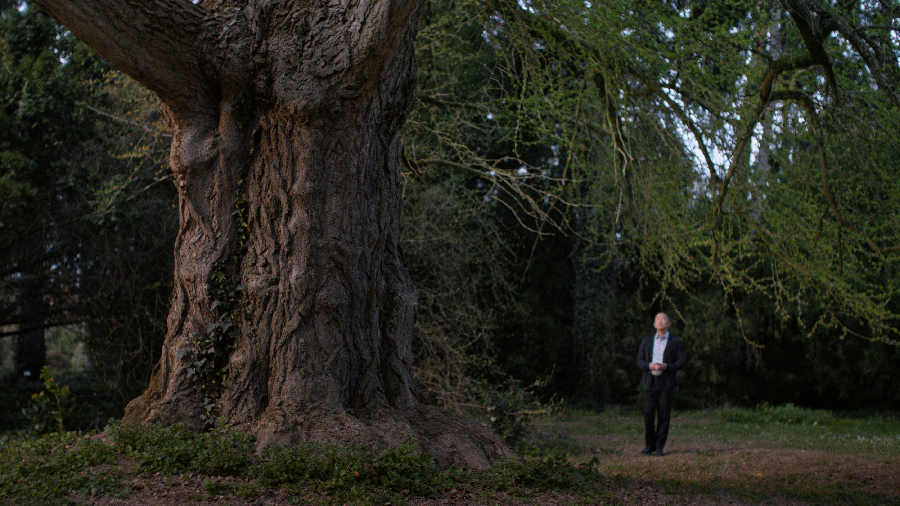 Silent Friend Preview