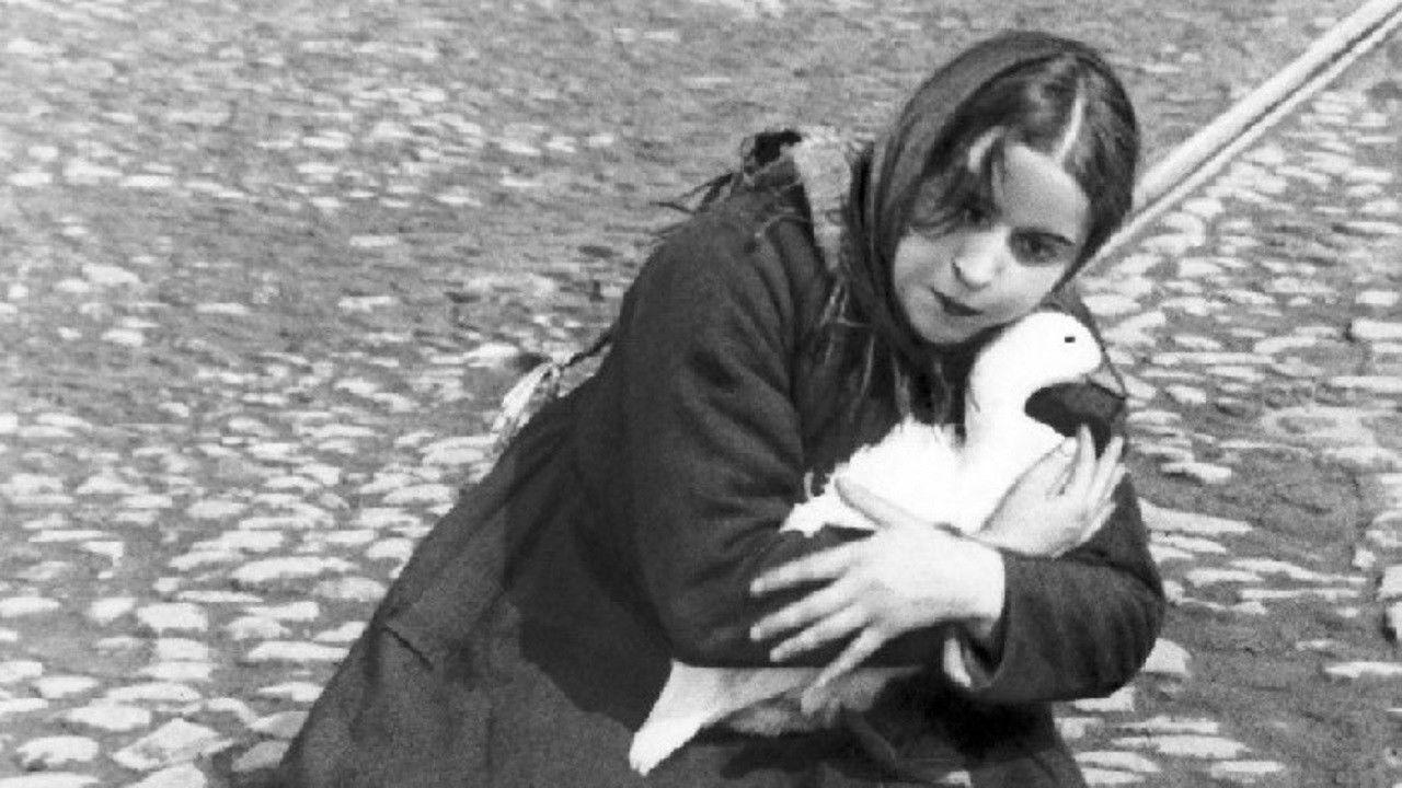 The House on Trubnaya Preview