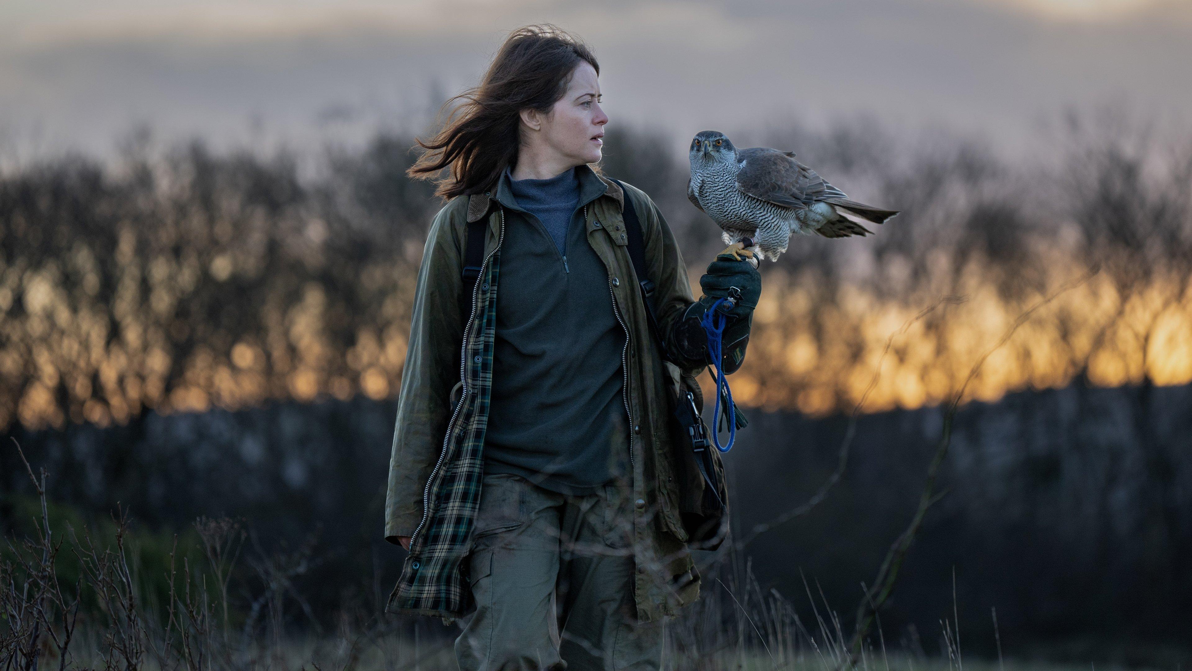 H IS FOR HAWK Preview