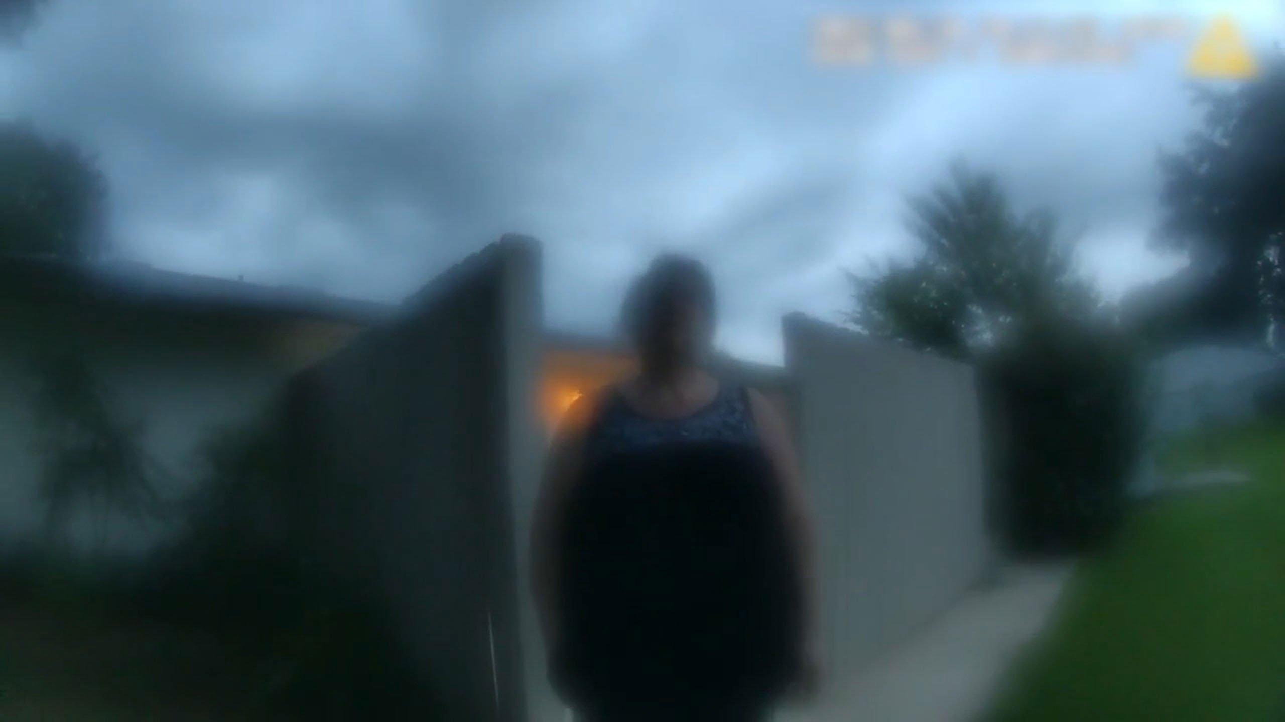 The Perfect Neighbor Preview